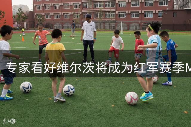 专家看好维尔茨将成为红军赛季MVP